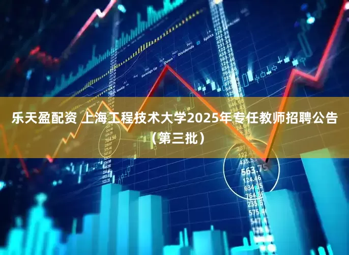 乐天盈配资 上海工程技术大学2025年专任教师招聘公告（第三批）